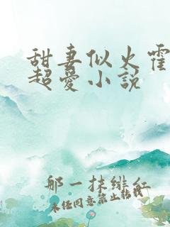 甜妻似火霍爷他超爱小说