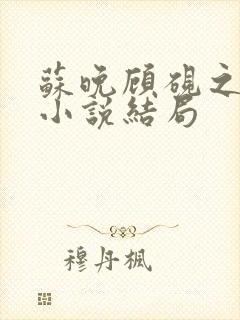 苏晚顾砚之原著小说结局