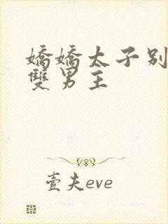 娇娇太子别黑化双男主