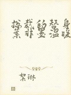 总裁的替身前妻叶非墨温暖