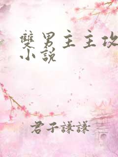 双男主主攻视角小说