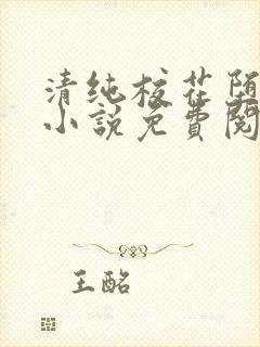 清纯校花堕落记小说免费阅读