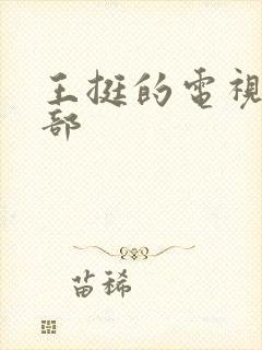 王挺的电视剧全部