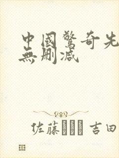 中国惊奇先生 无删减