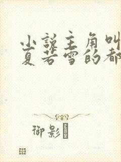 小说主角叫叶辰夏若雪的都市小说