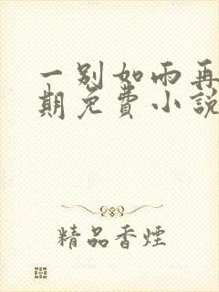 一别如雨再无归期免费小说