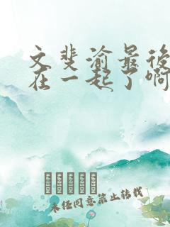 文斐渝最后和谁在一起了啊