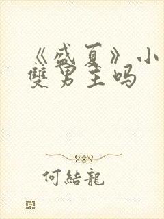 《盛夏》小说是双男主吗