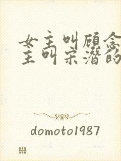 女主叫顾念,男主叫宋潜的小说