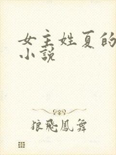 女主姓夏的总裁小说