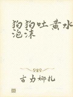 狗狗吐黄水带白泡沫