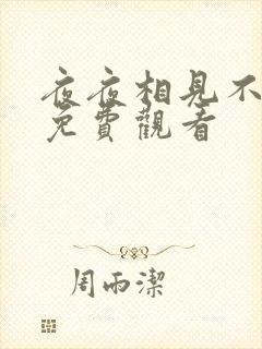 夜夜相见不识君免费观看