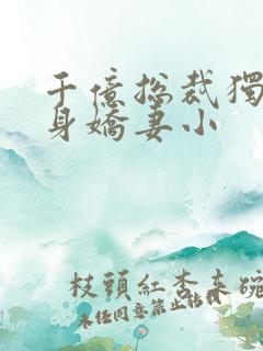 千亿总裁独宠替身娇妻小