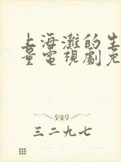 上海滩的生死较量电视剧免费观看