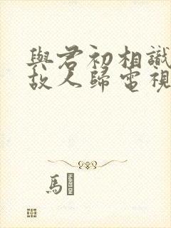 与君初相识恰似故人归电视剧剧情介绍