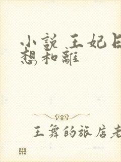 小说 王妃日日想和离