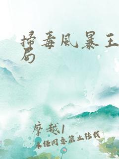 扫毒风暴王林结局