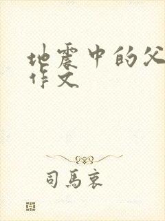 地震中的父与子作文