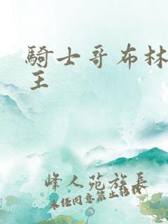 骑士哥布林双男主