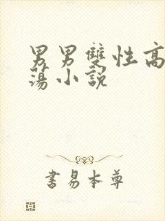 男男双性高h浪荡小说