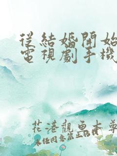 从结婚开始恋爱电视剧手机在线观看