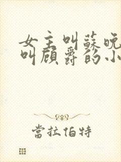 女主叫苏晚男主叫顾爵的小说名字