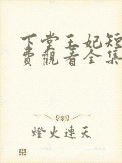 下堂王妃短剧免费观看全集