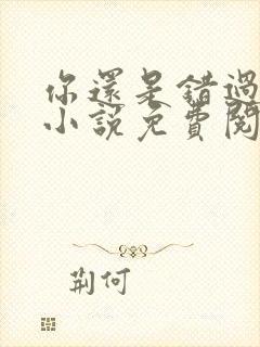 你还是错过了我小说免费阅读全文