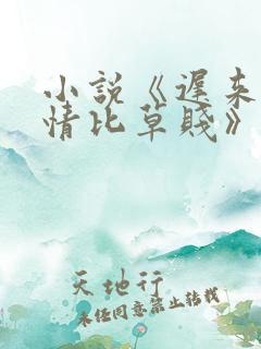 小说《迟来的深情比草贱》