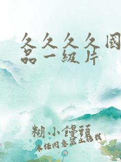 久久久久国产精品一级片