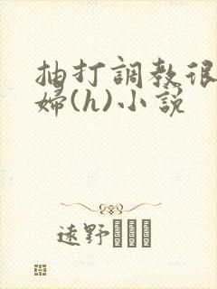 抽打调教很虐贱妇(h)小说