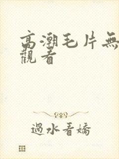 高潮毛片无遮挡观看