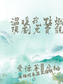 温暖我点燃你电视剧免费观看完整版