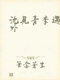 沈见青李遇泽番外