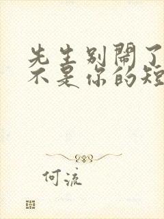 先生别闹了新娘不是你的短剧免费观看大结局