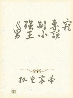 《强制专宠》双男主小说