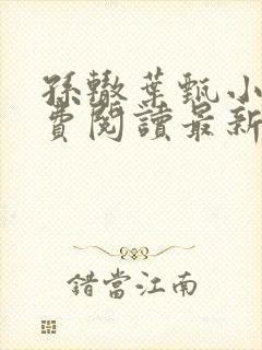 孙辙叶甄小说免费阅读最新章节