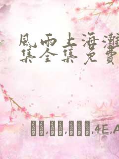 风雨上海滩42集全集免费观看