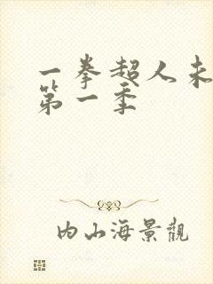 一拳超人未删减第一季