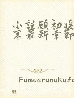 小说顾初暖夜景寒最新章节