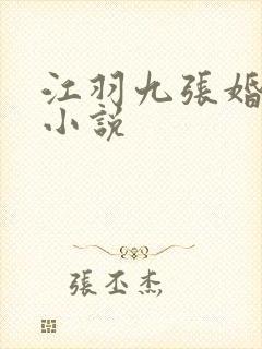 江羽九张婚书的小说