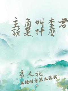 主角叫李君的小说是什么