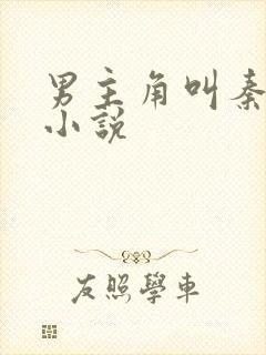 男主角叫秦峰的小说