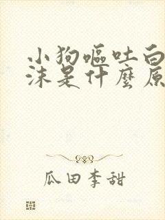 小狗呕吐白色泡沫是什么原因