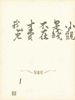 我才不是小可怜免费在线观看