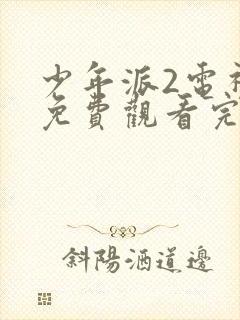 少年派2电视剧免费观看完整版