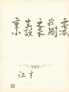 重生之我要冲浪小说未删减版