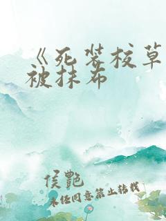 《死装校草活该被抹布