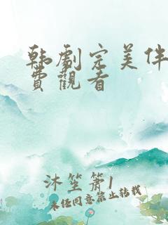 韩剧完美伴侣免费观看