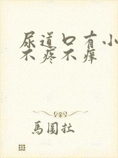 尿道口有小疙瘩不疼不痒